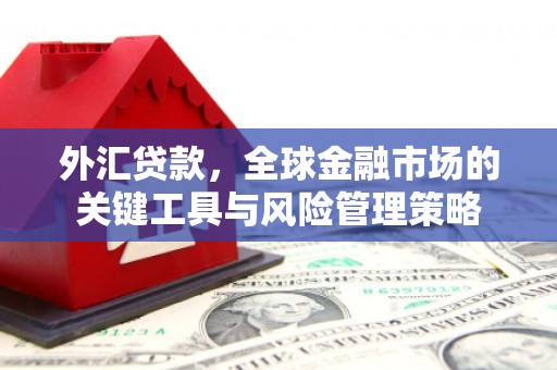 隆尧外汇贷款，全球金融市场的关键工具与风险管理策略