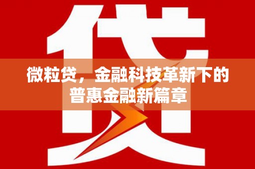 隆尧微粒贷，金融科技革新下的普惠金融新篇章