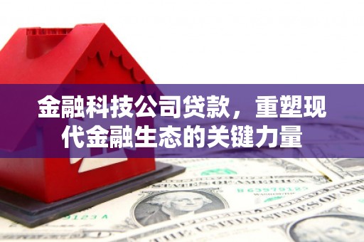 隆尧金融科技公司贷款，重塑现代金融生态的关键力量