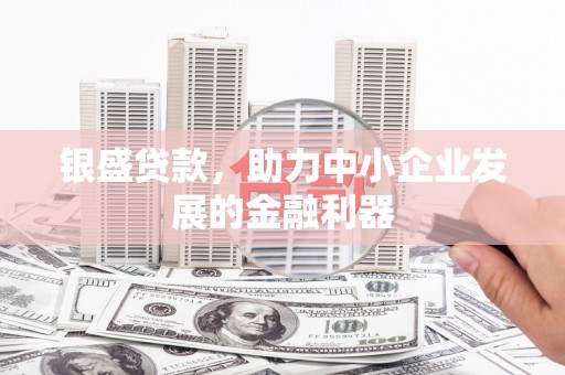 隆尧银盛贷款，助力中小企业发展的金融利器
