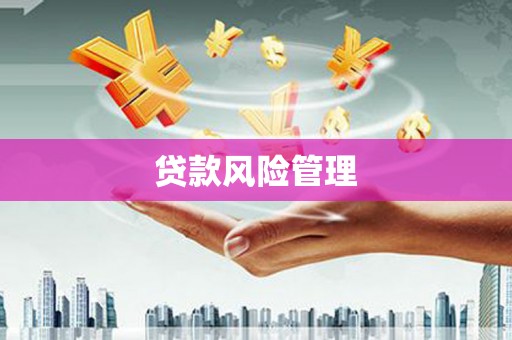 隆尧贷款风险管理