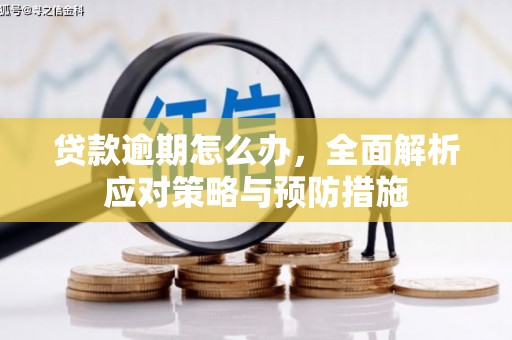 隆尧贷款逾期怎么办，全面解析应对策略与预防措施