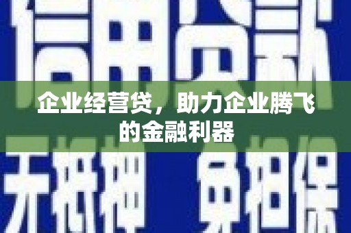 隆尧企业经营贷，助力企业腾飞的金融利器