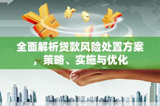 隆尧全面解析贷款风险处置方案，策略、实施与优化