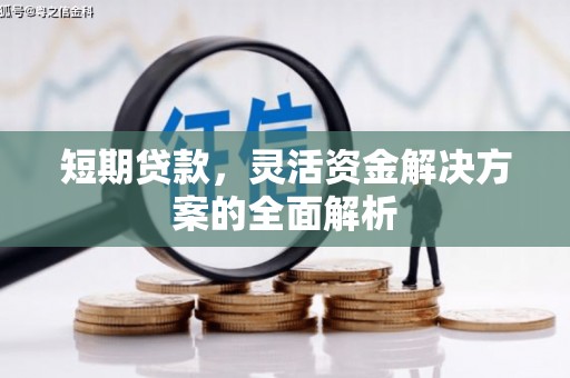 隆尧短期贷款，灵活资金解决方案的全面解析