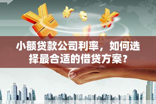 隆尧小额贷款公司利率，如何选择最合适的借贷方案？