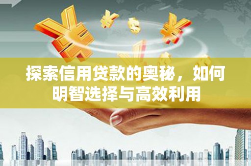 隆尧探索信用贷款的奥秘，如何明智选择与高效利用