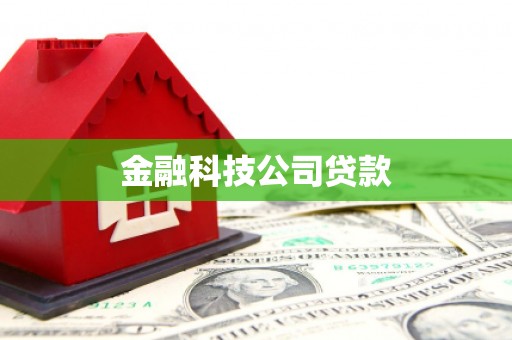 隆尧金融科技公司贷款