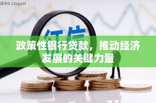 隆尧政策性银行贷款，推动经济发展的关键力量