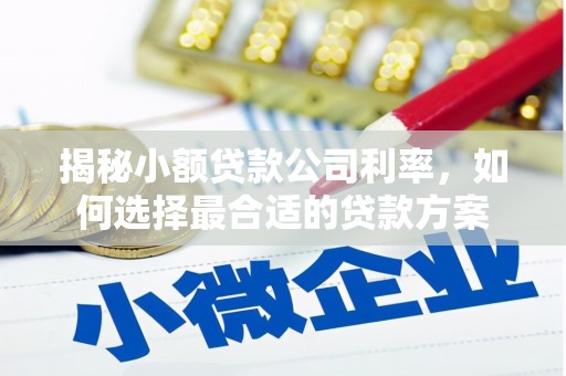 隆尧揭秘小额贷款公司利率，如何选择最合适的贷款方案