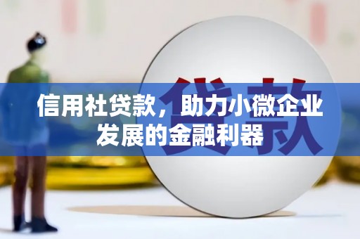 隆尧信用社贷款，助力小微企业发展的金融利器