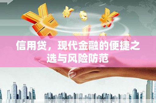 隆尧信用贷，现代金融的便捷之选与风险防范