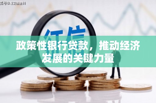 隆尧政策性银行贷款，推动经济发展的关键力量