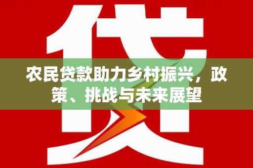 隆尧农民贷款助力乡村振兴，政策、挑战与未来展望