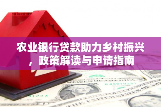 隆尧农业银行贷款助力乡村振兴，政策解读与申请指南