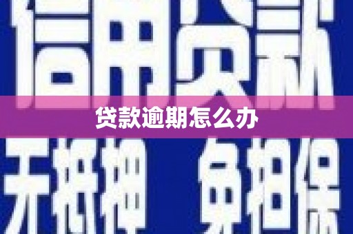 隆尧贷款逾期怎么办