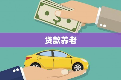 隆尧贷款养老