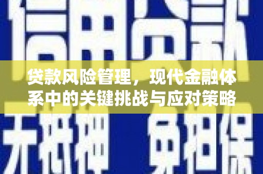 隆尧贷款风险管理，现代金融体系中的关键挑战与应对策略