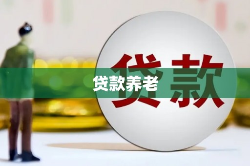 隆尧贷款养老