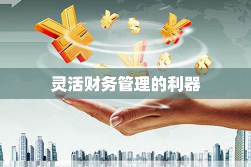 隆尧灵活财务管理的利器