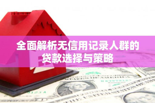 隆尧全面解析无信用记录人群的贷款选择与策略