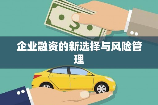 隆尧企业融资的新选择与风险管理