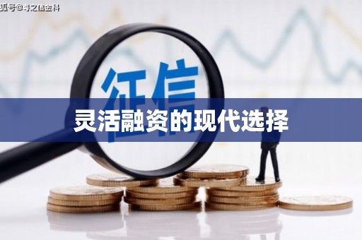 隆尧灵活融资的现代选择