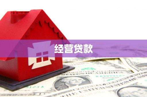 隆尧经营贷款