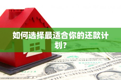 隆尧如何选择最适合你的还款计划？