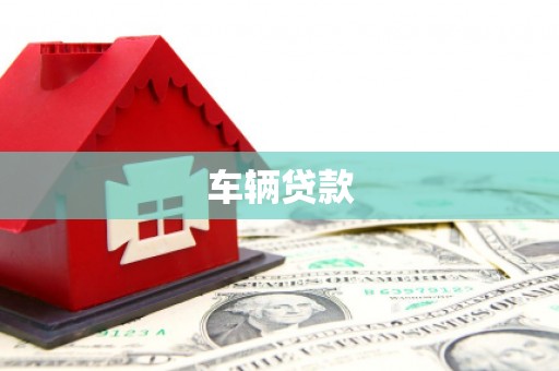 隆尧车辆贷款