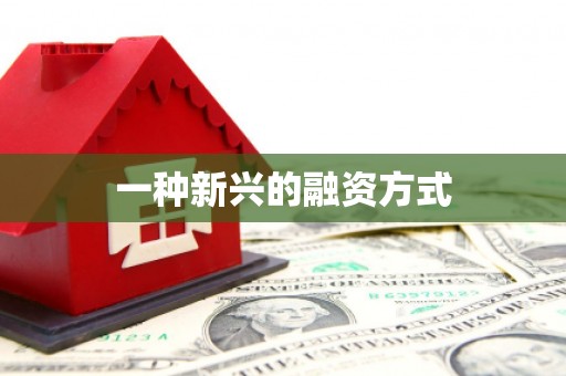 隆尧一种新兴的融资方式