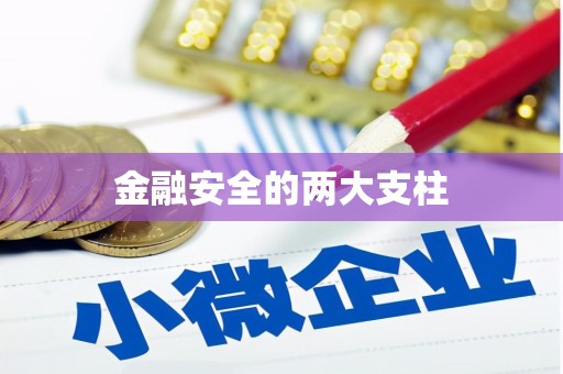 隆尧金融安全的两大支柱