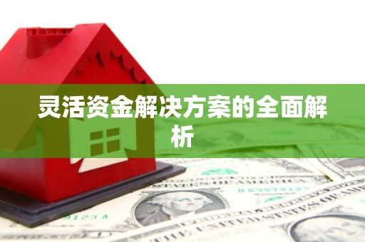 隆尧灵活资金解决方案的全面解析