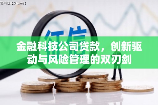 隆尧金融科技公司贷款，创新驱动与风险管理的双刃剑